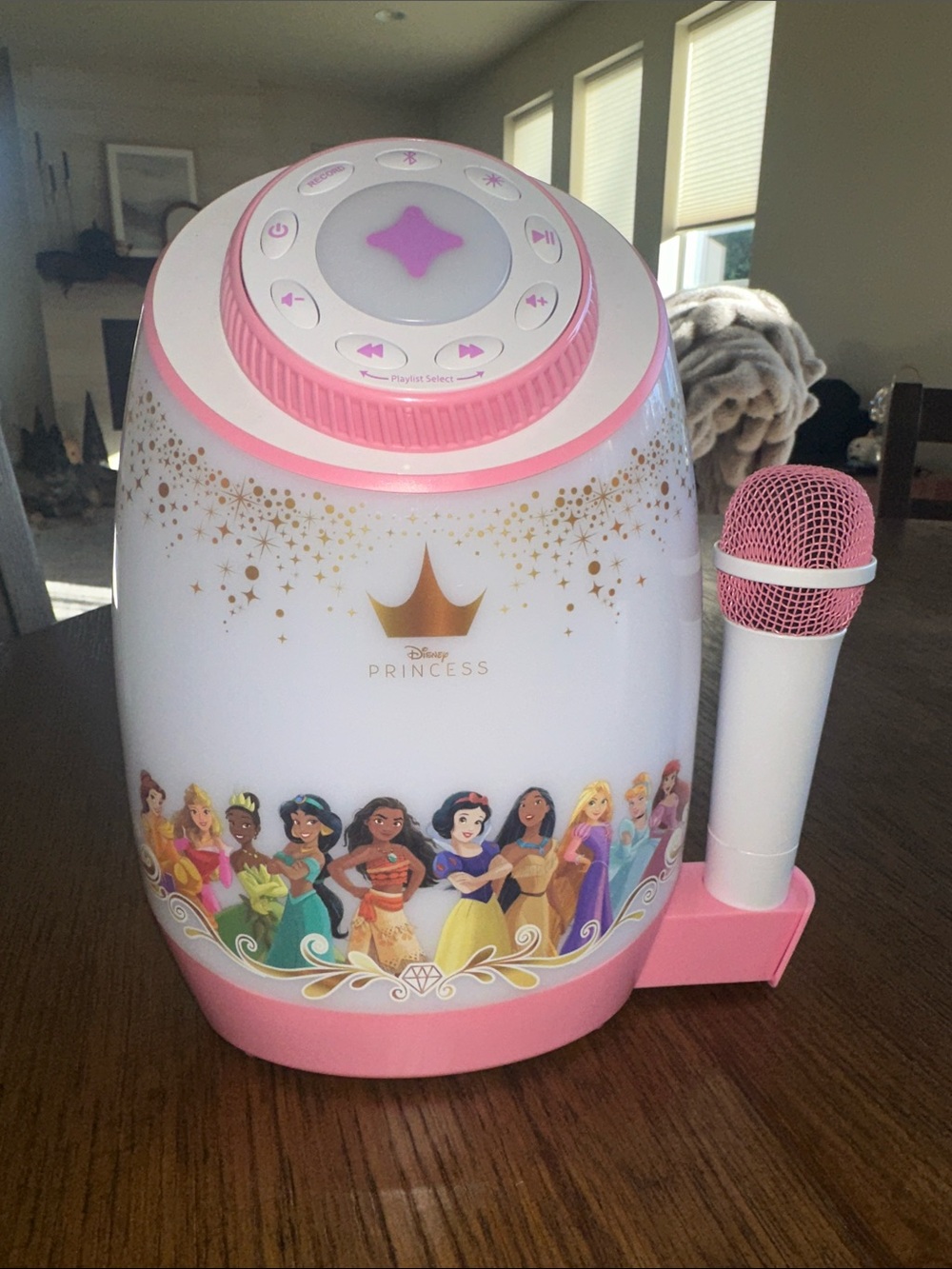 Disney Princess EZ Link + Bluetooth Karaoke with Wireless Microphone
